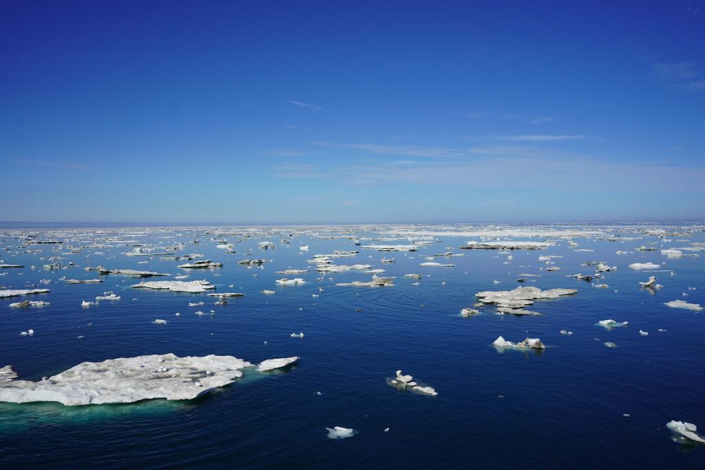 �Ї��ƌW�Ұl�F����ȫ�����¡����W�_�P��